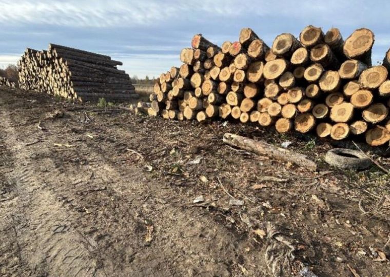 Юридическое лицо оштрафовали за захламление сельхозугодий в Чусовом