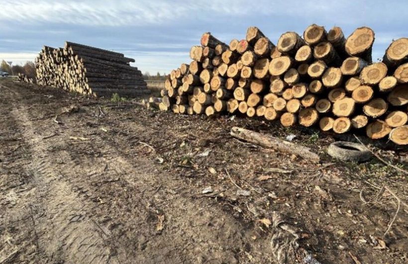 Юридическое лицо оштрафовали за захламление сельхозугодий в Чусовом