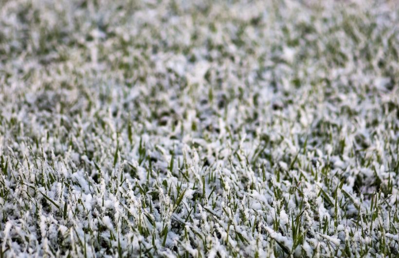 ​В Пермском крае 5 ноября прогнозируют сильные осадки, порывистый ветер и гололед