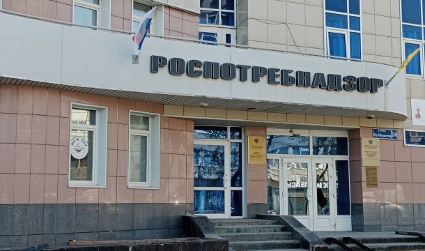 Свиньи из Красновишерского округа стали причиной жалоб в Россельхознадзор