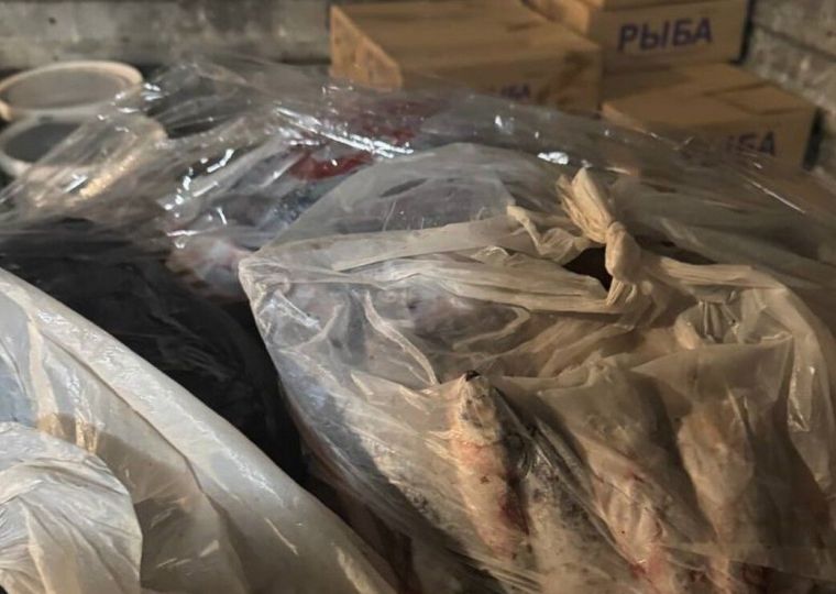 В Перми выявили производство рыбных пельменей из неучтенного сырья