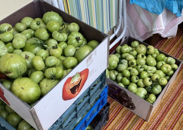 Как сохранить урожай, чтобы баловать себя своими овощами до весны