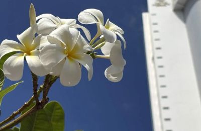 Аномальная жара начнется в ближайшие дни в Прикамье 