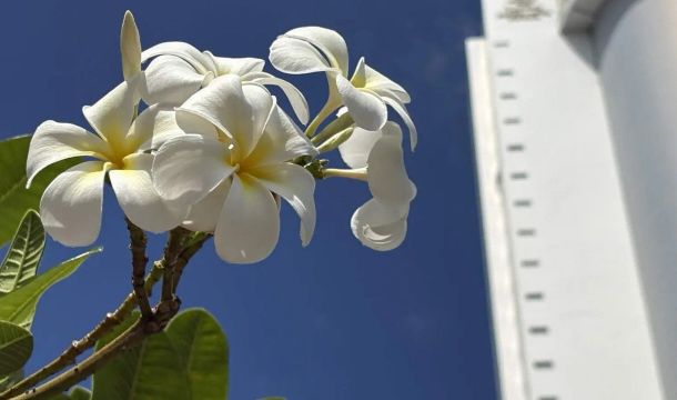 Аномальная жара начнется в ближайшие дни в Прикамье 