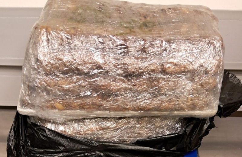 В Прикамье пресечен ввоз почти 30 килограммов подозрительной животноводческой продукции