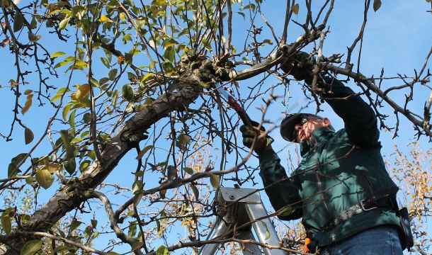 Рассказываем, какие работы ждут садоводов в сентябре