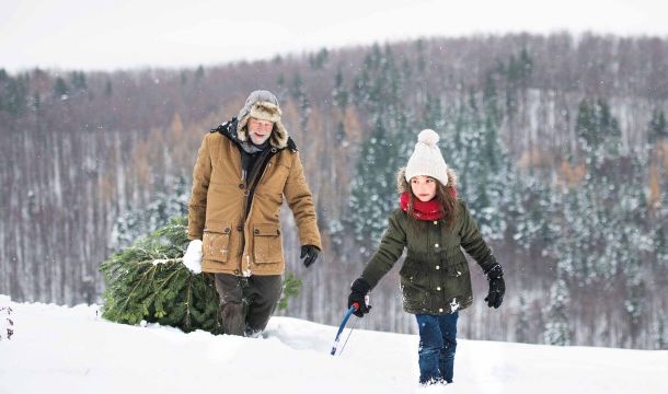 ​Рассказываем, как продлить жизнь новогоднему дереву​